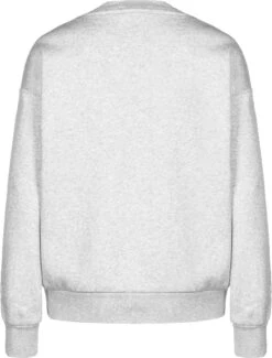 Winterbekleidungs Geschäft -Winterbekleidungs Geschäft puma sweater wellness club in light gray heather 1