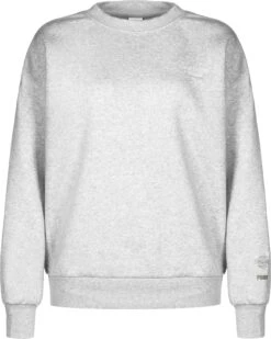 Puma Sweater Wellness Club In Light Gray Heather
